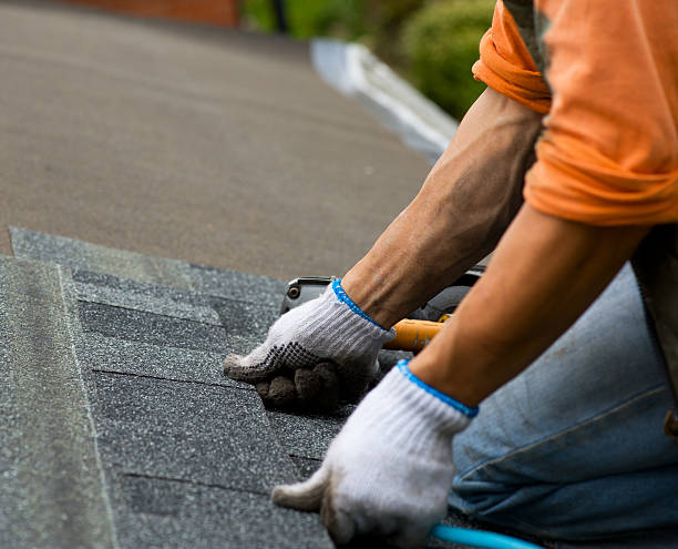 Best Metal Roofing Contractor  in Red Bay, AL
