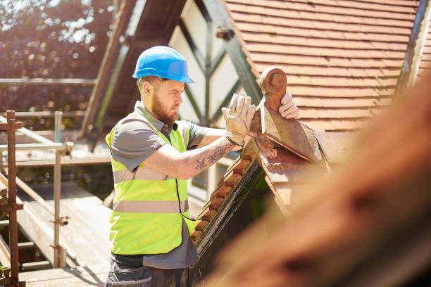 Best Storm Damage Roof Repair  in Red Bay, AL